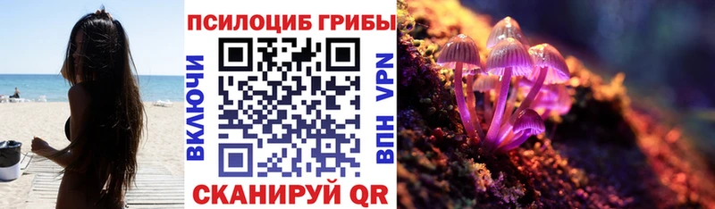 магазин продажи   Калач  Псилоцибиновые грибы мицелий 
